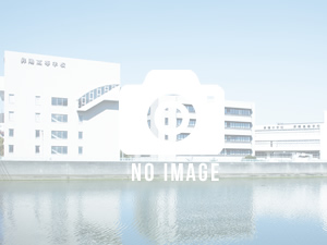 no-image