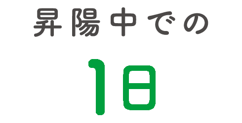 昇陽中での1日