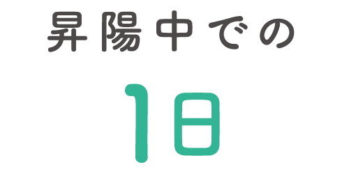 昇陽中での1日